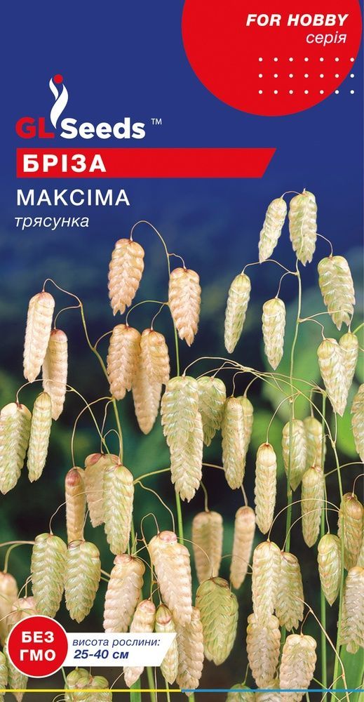 оптом Насіння Брізи Максіма; (0.25г), For Hobby, TM GL Seeds