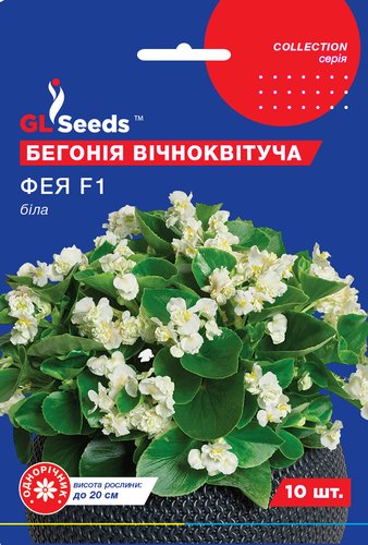 оптом Насіння Бегонiї Фея біла F1 сумiш (10шт), Collection, TM GL Seeds