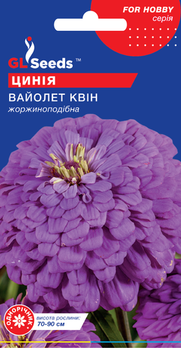 оптом Насіння Цинiї Вайолет Квін; (0.5г), For Hobby, TM GL Seeds