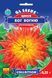 Насіння Цинії Бог Вогню (0.25г), Collection, TM GL Seeds