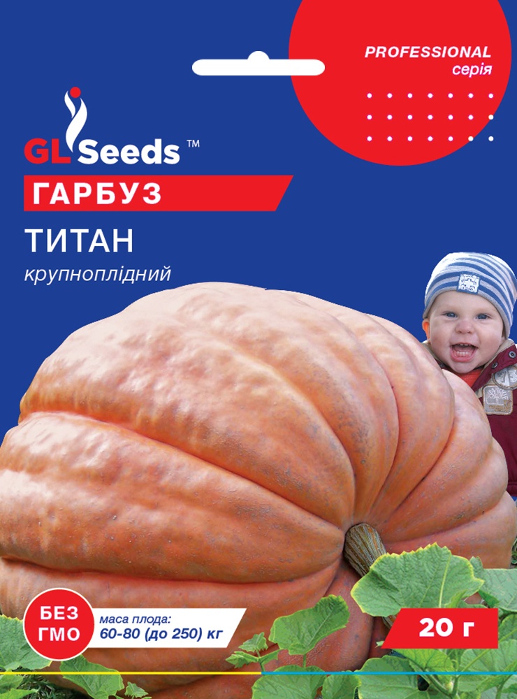 оптом Насіння Гарбуза Титан (15г), Professional, TM GL Seeds