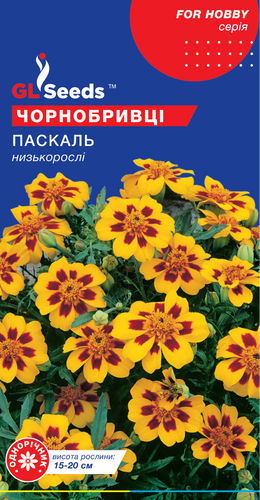 оптом Семена Бархатцев Паскаль; (0.25г), For Hobby, TM GL Seeds