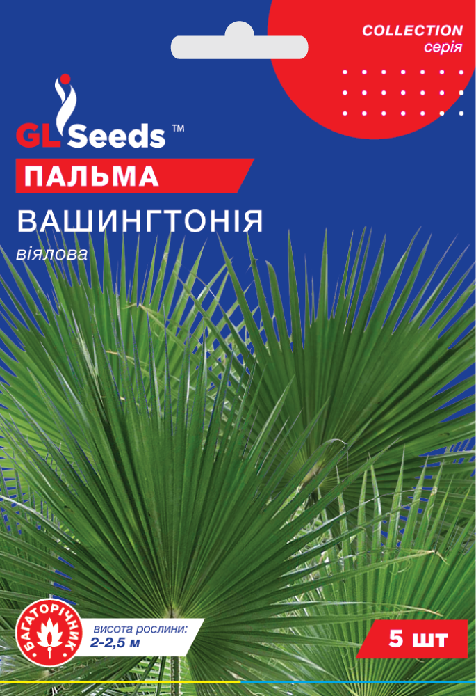 оптом Насіння Пальми вiялової Вашингтонiя (5шт), Collection, TM GL Seeds
